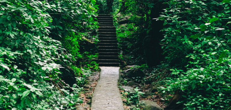 Hiking Trails