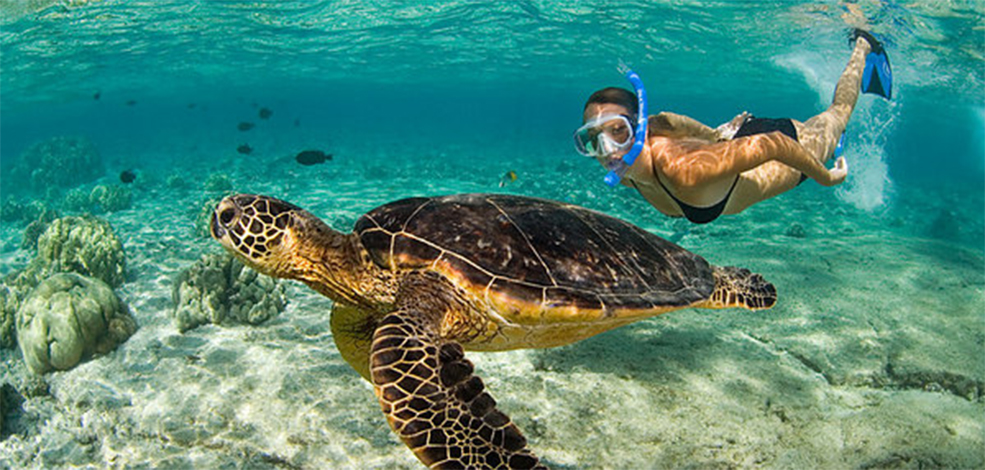 Rincón – Esnórquel y Buceo El Pasaje de la Mona