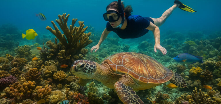 Snorkeling and Diving