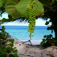 Flamenco Beach, Culebra