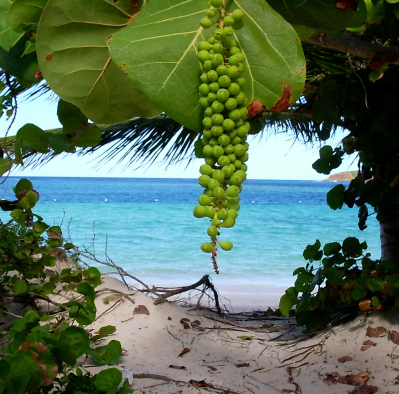 Flamenco Beach, Culebra